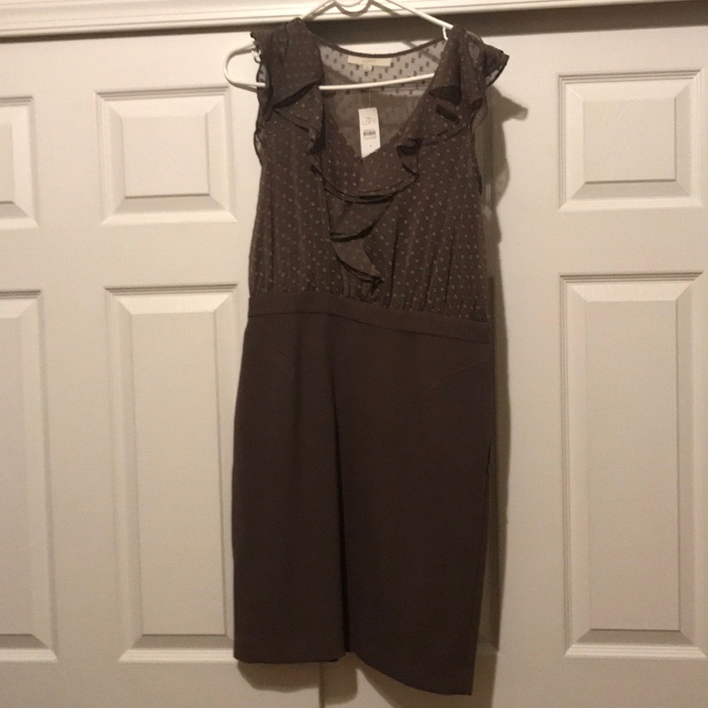Never worn - loft dress- color brown